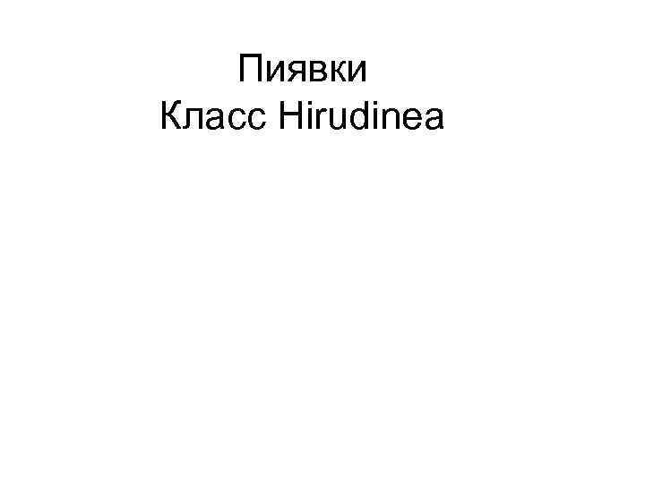 Пиявки Класс Hirudinea 