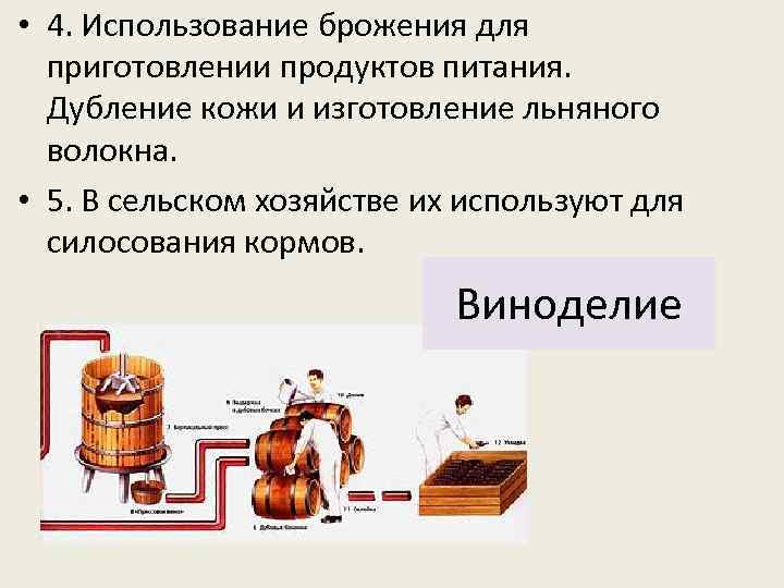  • 4. Использование брожения для приготовлении продуктов питания. Дубление кожи и изготовление льняного