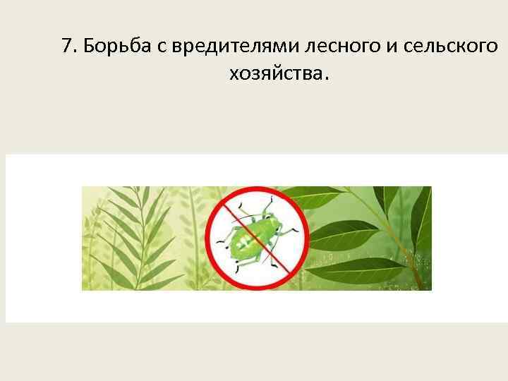 7. Борьба с вредителями лесного и сельского хозяйства. 