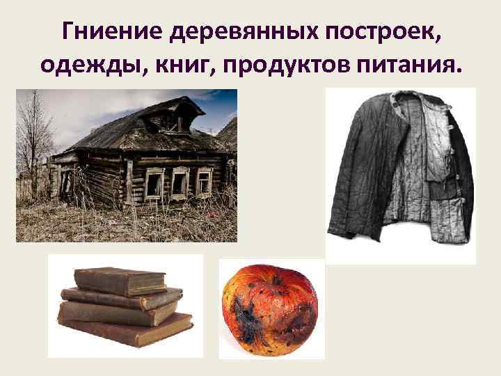 Гниение деревянных построек, одежды, книг, продуктов питания. 