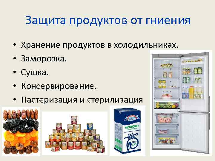 Сохранение продуктов питания проект