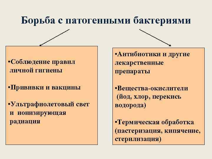 Борьба с патогенными бактериями • Соблюдение правил личной гигиены • Прививки и вакцины •