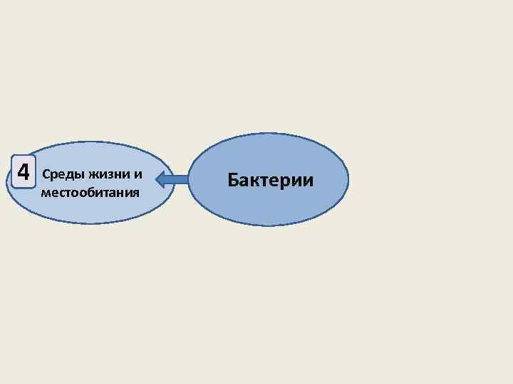 4 Среды жизни и местообитания Бактерии 
