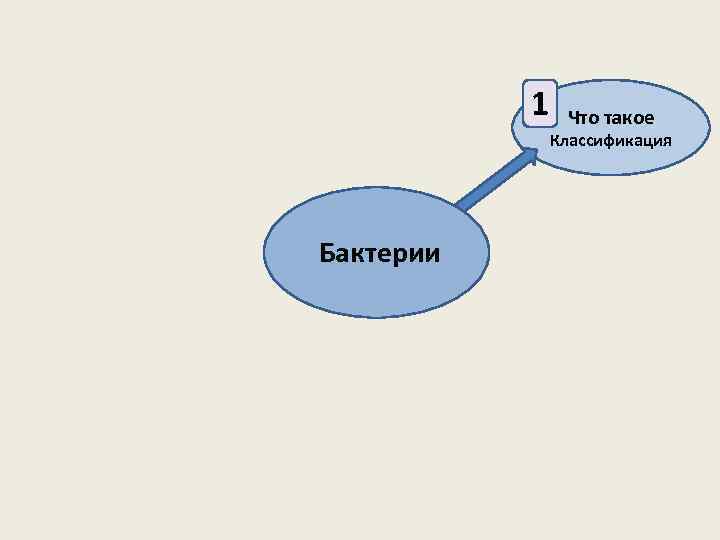 1 Что такое Классификация Бактерии 