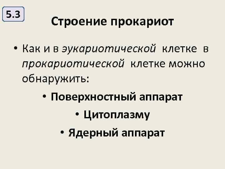 5. 3 Строение прокариот • Как и в эукариотической клетке в прокариотической клетке можно