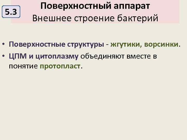 5. 3 Поверхностный аппарат Внешнее строение бактерий • Поверхностные структуры - жгутики, ворсинки. •