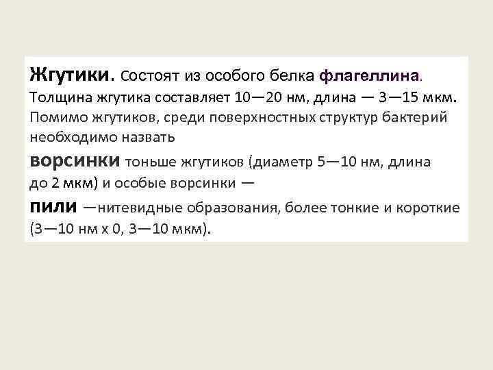 Жгутики. Состоят из особого белка флагеллина. Толщина жгутика составляет 10— 20 нм, длина —