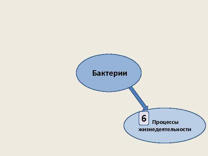  Бактерии 6 Процессы жизнедеятельности 
