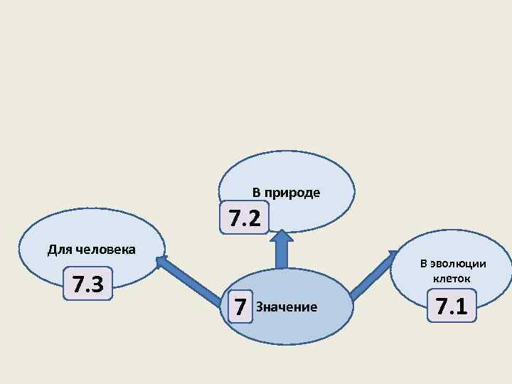 В природе 7. 2 Для человека 7. 3 В эволюции клеток 7 Значение 7.