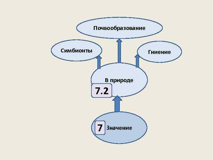 Почвообразование Симбионты Гниение В природе 7. 2 7 Значение 