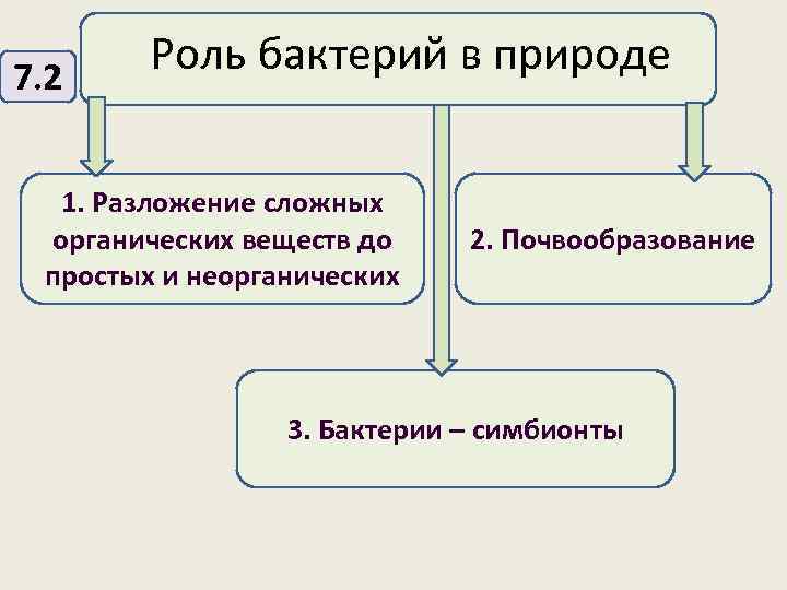  Роль бактерий в природе 7. 2 1. Разложение сложных органических веществ до простых