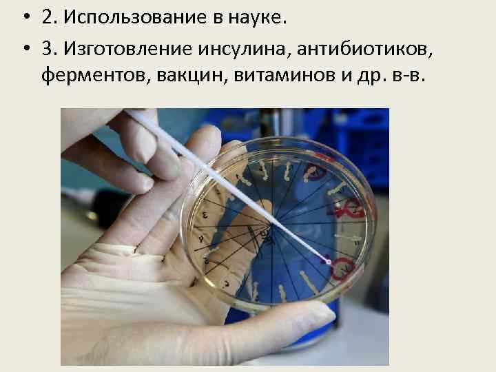  • 2. Использование в науке. • 3. Изготовление инсулина, антибиотиков, ферментов, вакцин, витаминов