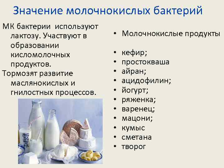 Кисломолочные продукты содержат сахар. Молочнокислые бактерии значение в жизни человека. Молочнокислые бактерии значение. Значение кисломолочных бактерий. Значение молочных бактерий.