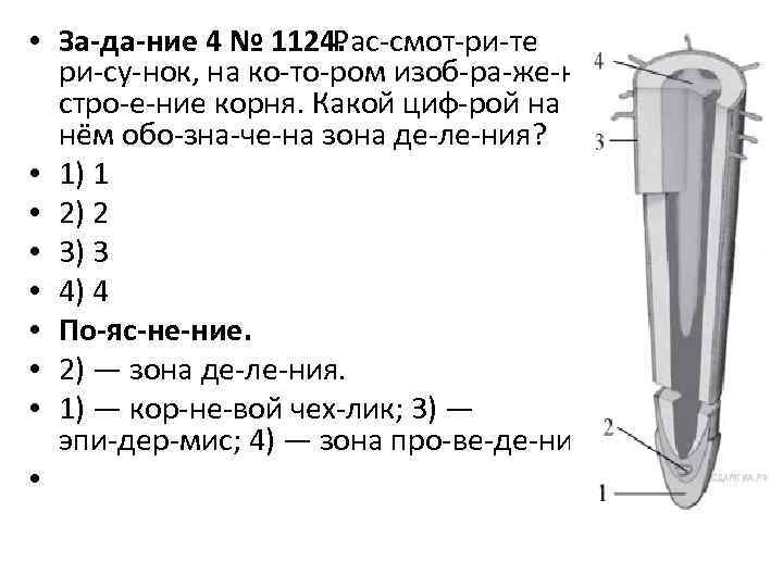  • За да ние 4 № 1124. Рас смот ри те ри су