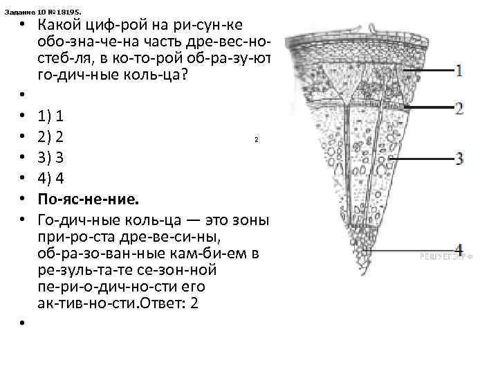 За а ие 10 № 18195. д н • Какой циф рой на ри