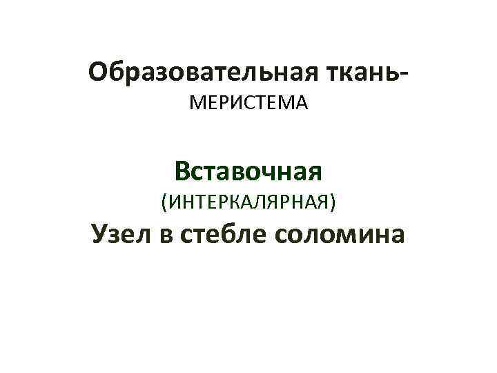 Образовательная ткань МЕРИСТЕМА Вставочная (ИНТЕРКАЛЯРНАЯ) Узел в стебле соломина 