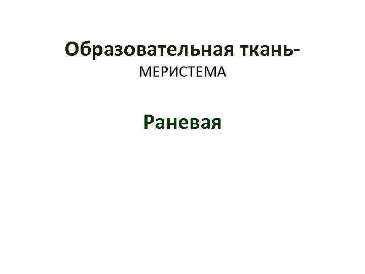 Образовательная ткань МЕРИСТЕМА Раневая 