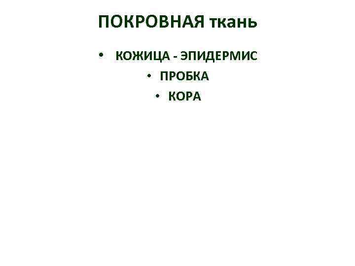 ПОКРОВНАЯ ткань • КОЖИЦА ЭПИДЕРМИС • ПРОБКА • КОРА 