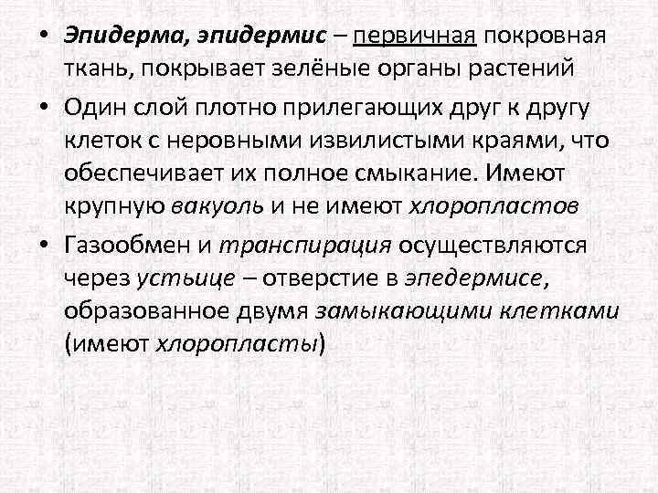  • Эпидерма, эпидермис – первичная покровная ткань, покрывает зелёные органы растений • Один