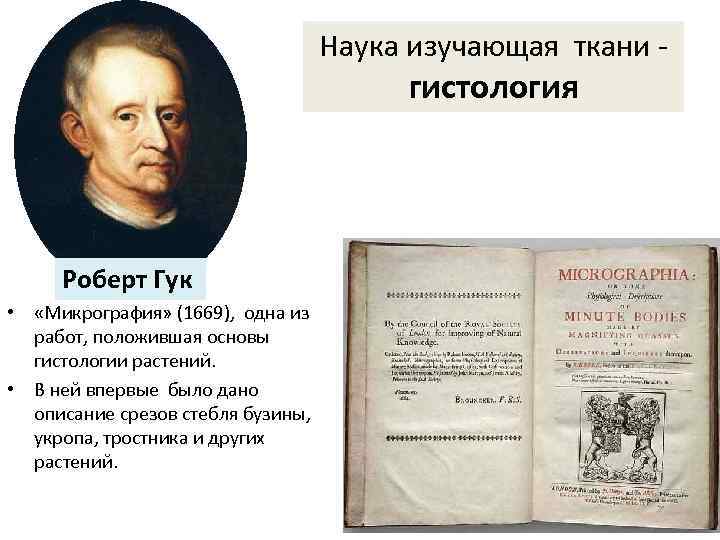 Наука изучающая ткани гистология Роберт Гук • «Микрография» (1669), одна из работ, положившая основы