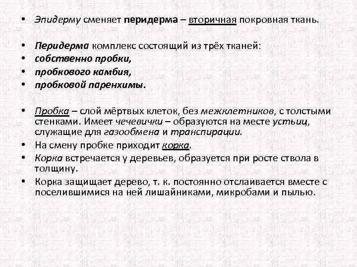  • Эпидерму сменяет перидерма – вторичная покровная ткань. • • Перидерма комплекс состоящий