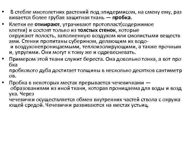  • В стебле многолетних растений под эпидермисом, на смену ему, раз вивается более