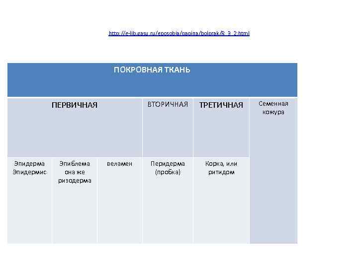 Первичная ткань