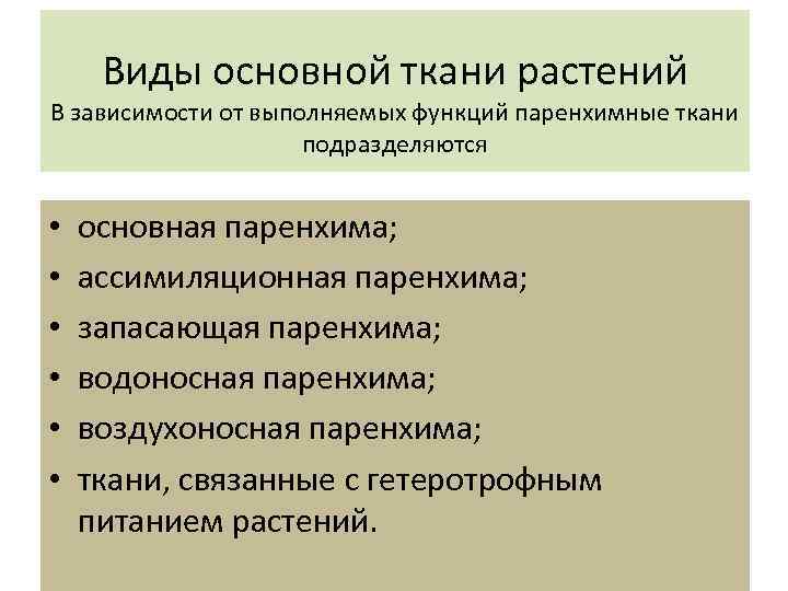Виды основной ткани растений В зависимости от выполняемых функций паренхимные ткани подразделяются • •