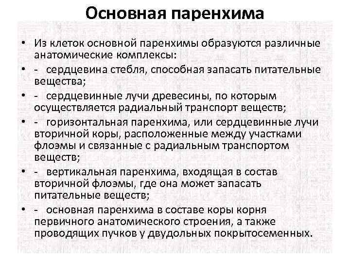 Основная паренхима • Из клеток основной паренхимы образуются различные анатомические комплексы: • сердцевина стебля,