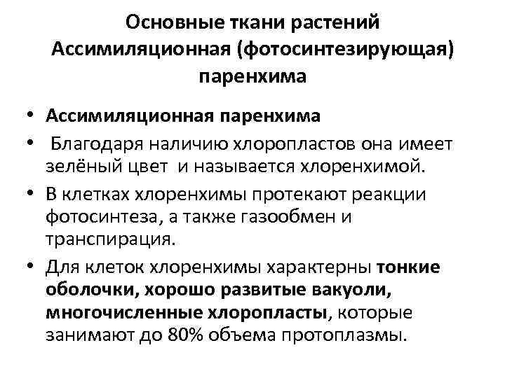 Основные ткани растений Ассимиляционная (фотосинтезирующая) паренхима • Ассимиляционная паренхима • Благодаря наличию хлоропластов она