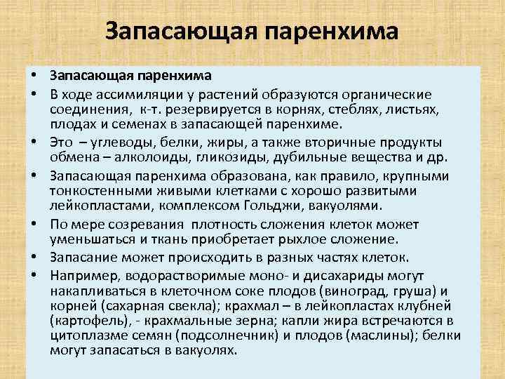 Запасающая паренхима • В ходе ассимиляции у растений образуются органические соединения, к т. резервируется
