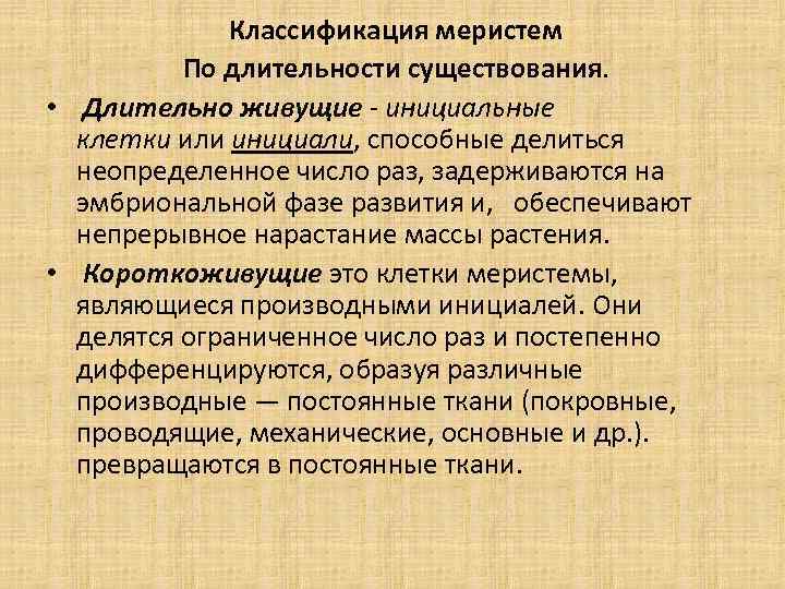 Классификация меристем По длительности существования. • Длительно живущие инициальные клетки или инициали, способные