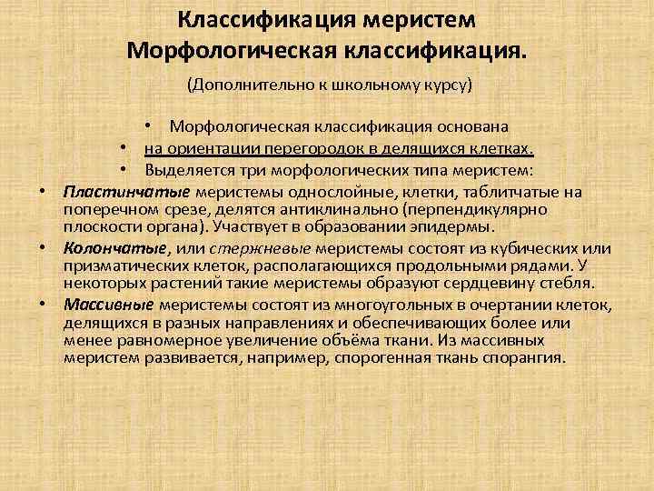Классификация меристем Морфологическая классификация. (Дополнительно к школьному курсу) • Морфологическая классификация основана • на