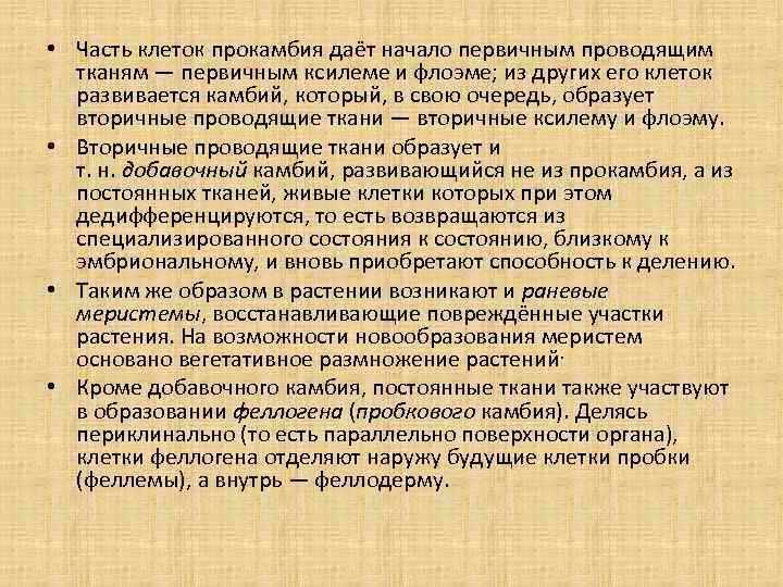  • Часть клеток прокамбия даёт начало первичным проводящим тканям — первичным ксилеме и