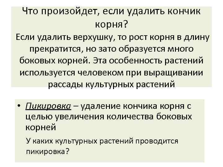 Что произойдет, если удалить кончик корня? Если удалить верхушку, то рост корня в длину