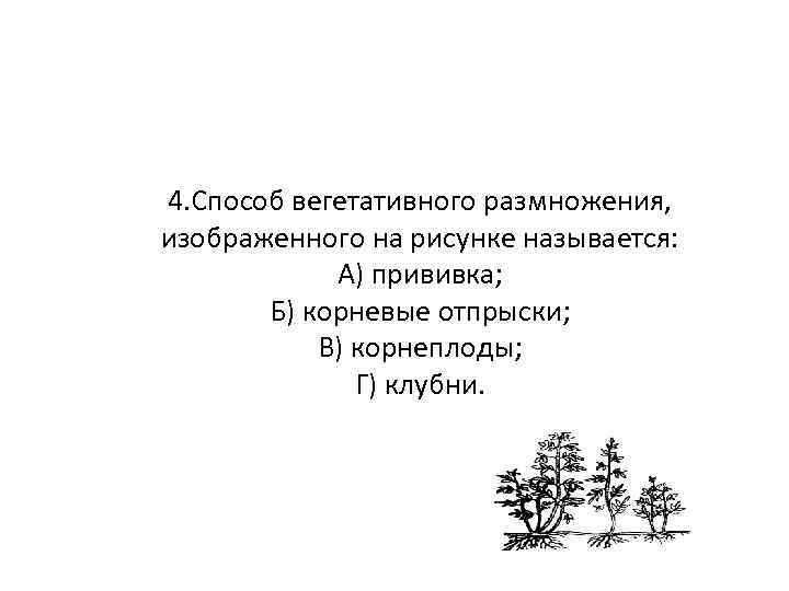 Способ вегетативного размножения изображенного на рисунке называется