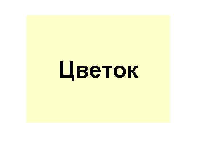 Цветок 