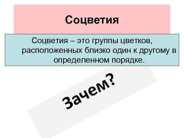 Соцветия – это группы цветков, расположенных близко один к другому в определенном порядке. З
