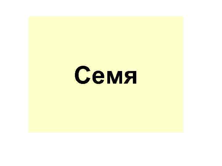 Семя 