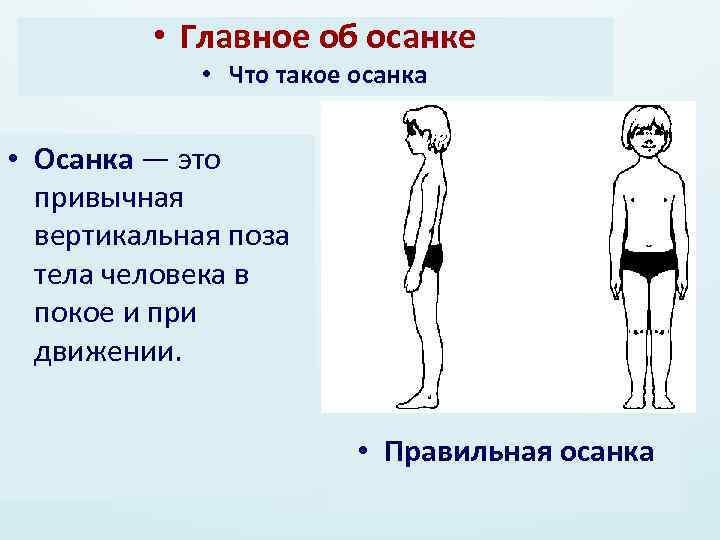 Осанка класс. Что такое осанка человека 3 класс. Что такое осанка человека 2 класс. Осанка человека в покое. Что такое осанка 3 класс окружающий мир.