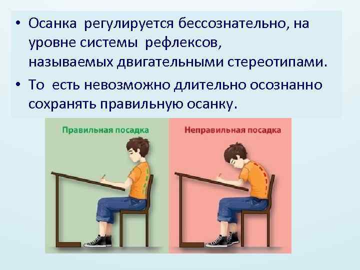  • Осанка регулируется бессознательно, на уровне системы рефлексов, называемых двигательными стереотипами. • То