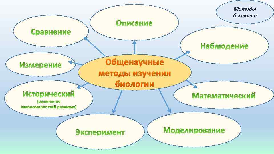 Методы биологии Общенаучные методы изучения биологии 