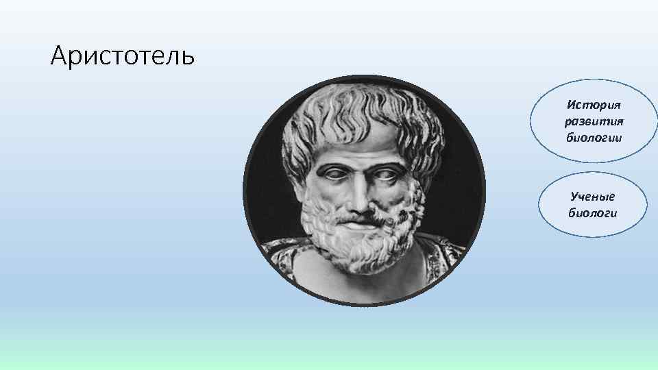 Аристотель История развития биологии Ученые биологи 