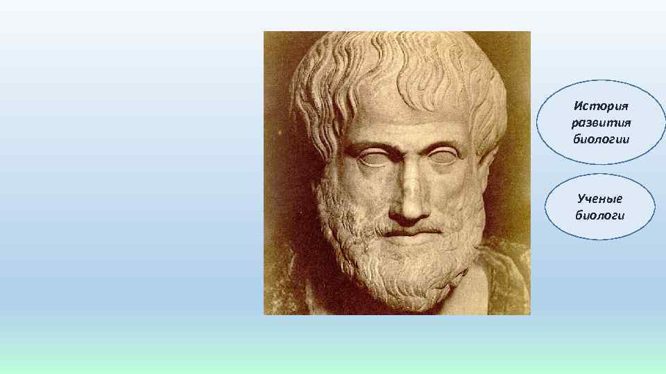 История развития биологии Ученые биологи 