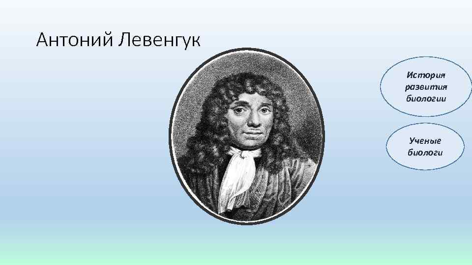 Антоний Левенгук История развития биологии Ученые биологи 