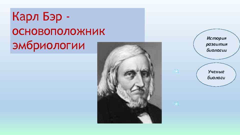 Карл Бэр основоположник эмбриологии История развития биологии Ученые биологи 