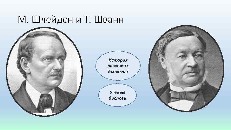 М. Шлейден и Т. Шванн История развития биологии Ученые биологи 