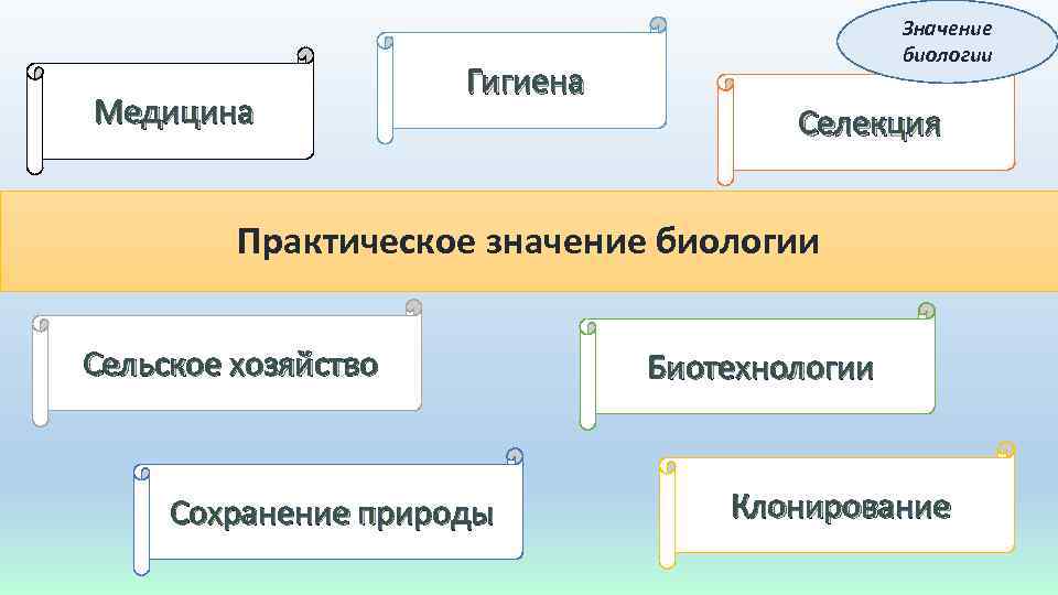 Значение биологии тест