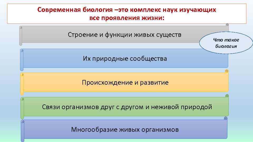 Современная биология –это комплекс наук изучающих все проявления жизни: Строение и функции живых существ