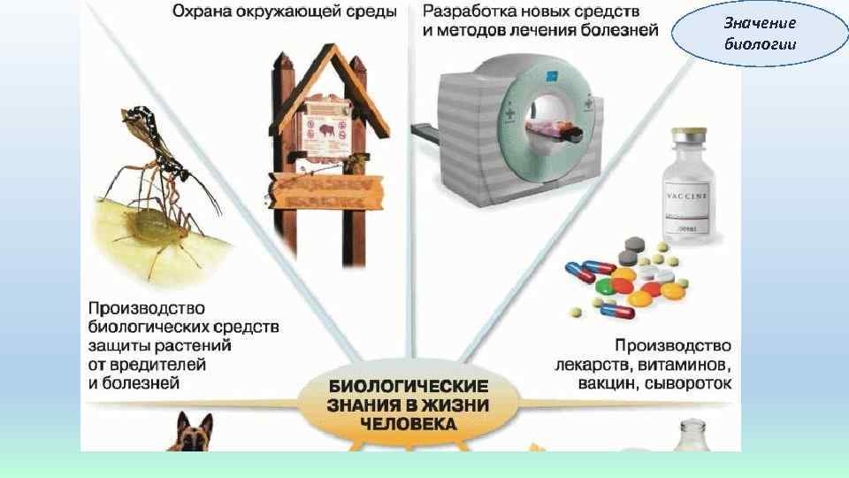 Значение биологии 